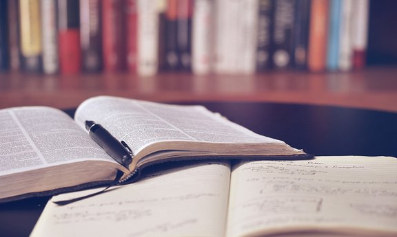 Studien Bücher