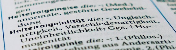 Wörterbuch Definition von Heterogenität