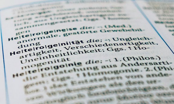 Wörterbuch Definition von Heterogenität