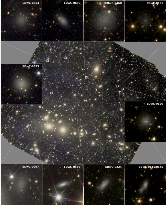 Perseus Galaxienhaufen und einige der neu entdeckten Zwerggalaxien
