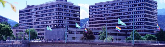 Foto von Brücke und im Hintergrund Universitätsgebäude