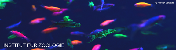 Fische
